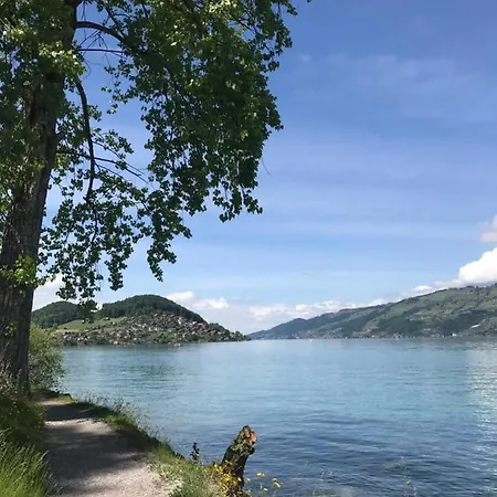 Moderne Mit Panoramablick Auf Thunersee 公寓