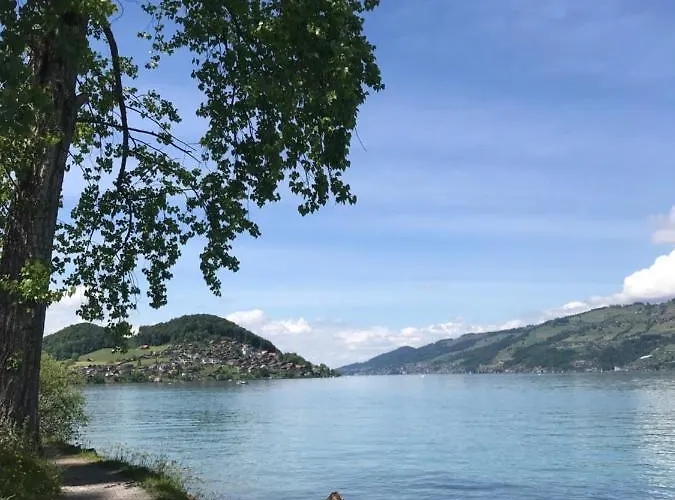 Moderne Mit Panoramablick Auf Thunersee Apartment